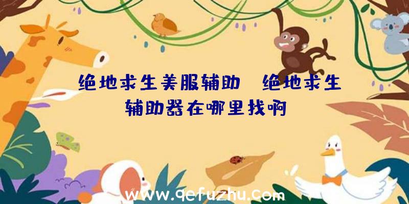 「绝地求生美服辅助」|绝地求生辅助器在哪里找啊